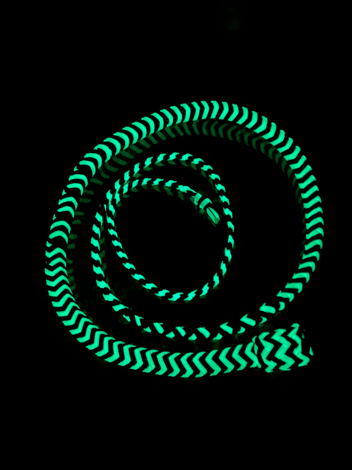 6' Snake Whip (green glowing)